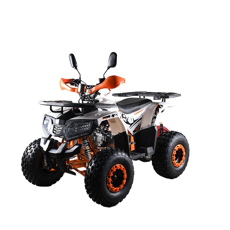 110cc CE EPA  ATV Adult 4-Whee - đánh giá và giá Outdoor Adventure Quad Biking