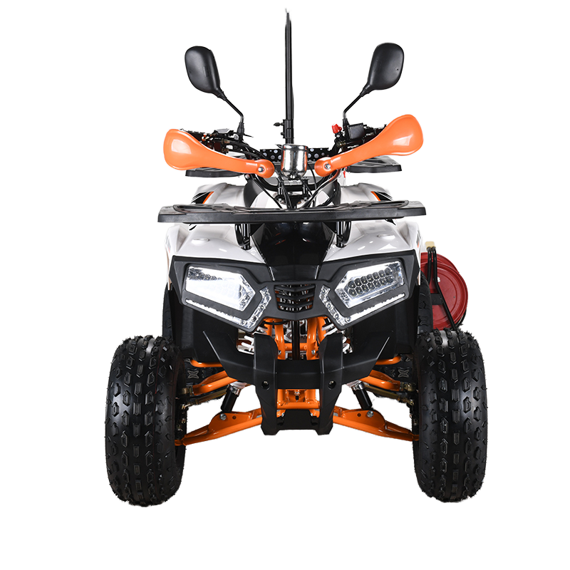 110cc CE EPA  ATV Adult 4-Whee - đánh giá và giá Outdoor Adventure Quad Biking