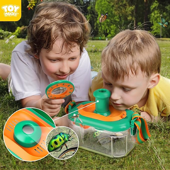 Children's Insect Butterfly Ca - đánh giá và giá Outdoor Adventure Education