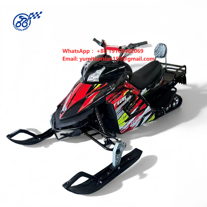 Electric Snowmobile Double Sea - đánh giá và giá Outdoor Adventure Vehicles