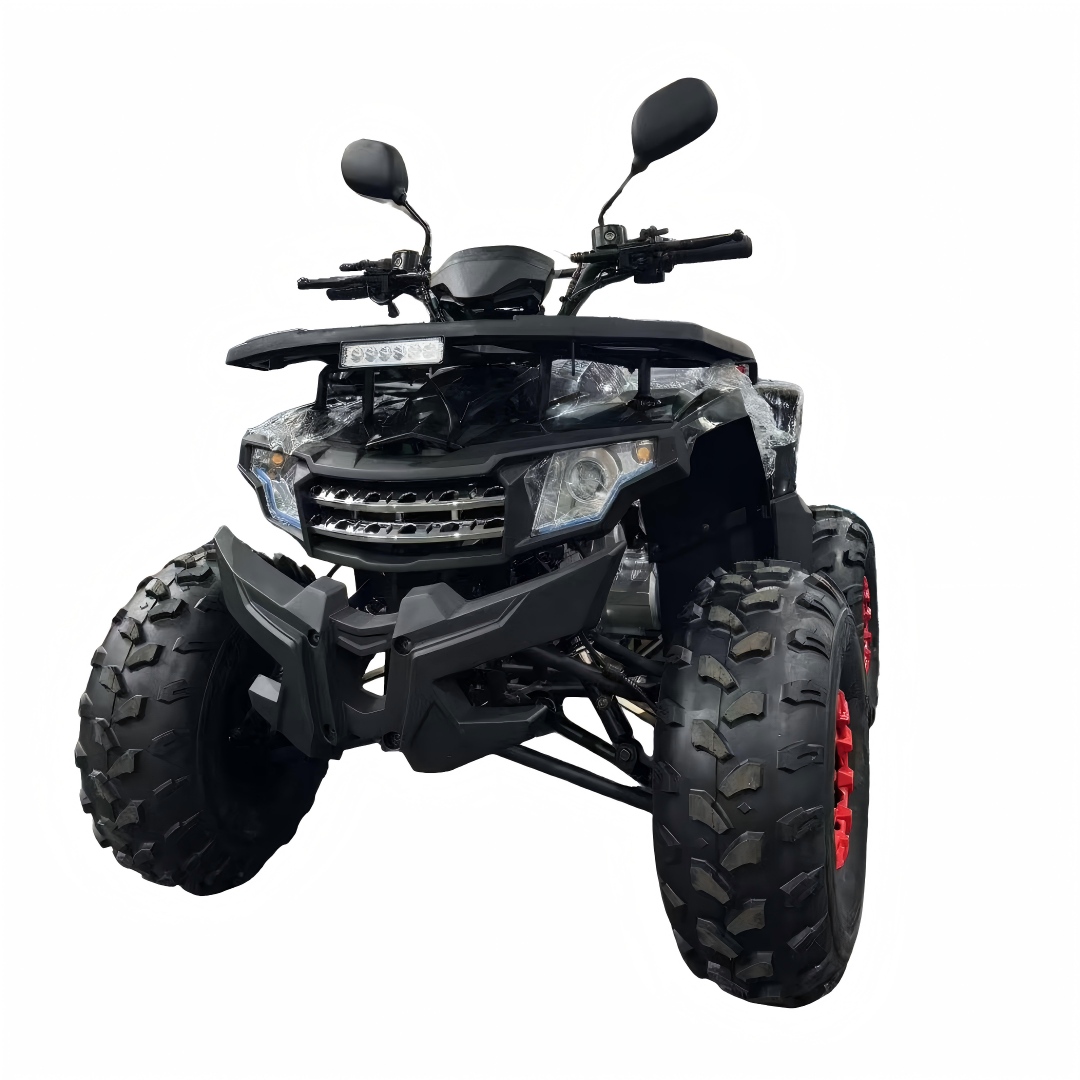 2026 New Model 125cc 4-Stroke  - đánh giá và giá Outdoor Adventure Quad Biking