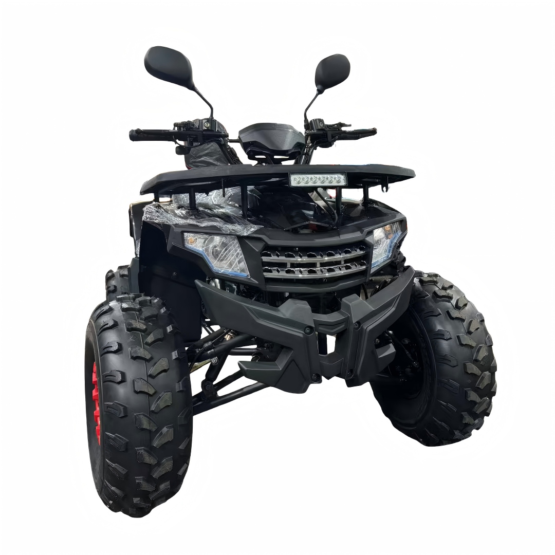 2026 New Model 125cc 4-Stroke  - đánh giá và giá Outdoor Adventure Quad Biking