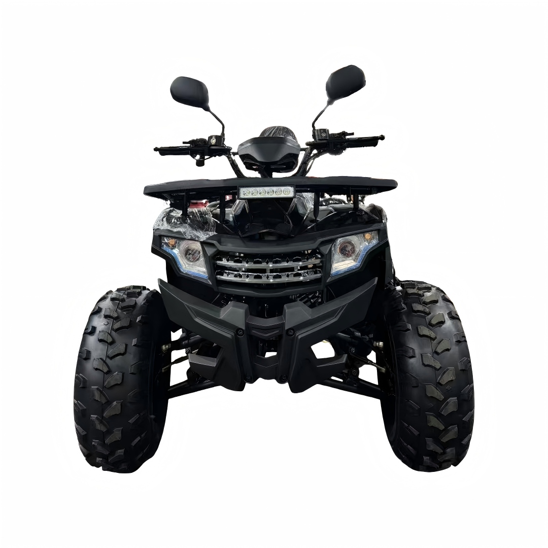 2026 New Model 125cc 4-Stroke  - đánh giá và giá Outdoor Adventure Quad Biking