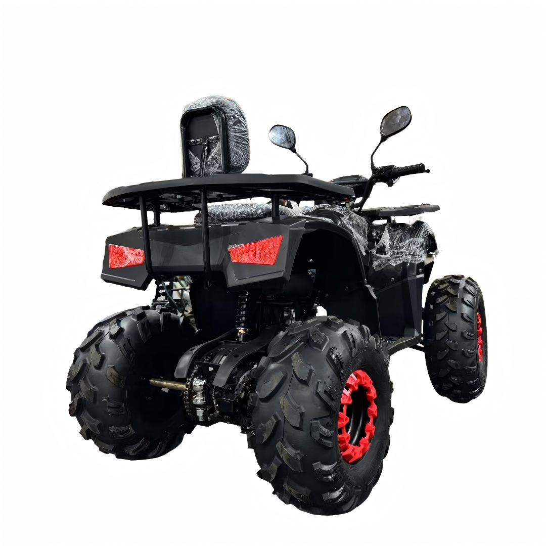 2026 New Model 125cc 4-Stroke  - đánh giá và giá Outdoor Adventure Quad Biking