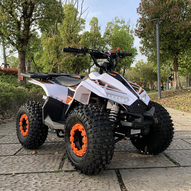 125CC ATV, Small Falcon All-Te - đánh giá và giá Outdoor Adventure Quad Biking