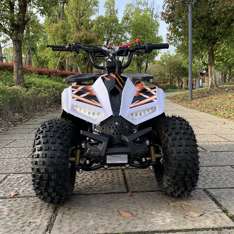 125CC ATV, Small Falcon All-Te - đánh giá và giá Outdoor Adventure Quad Biking
