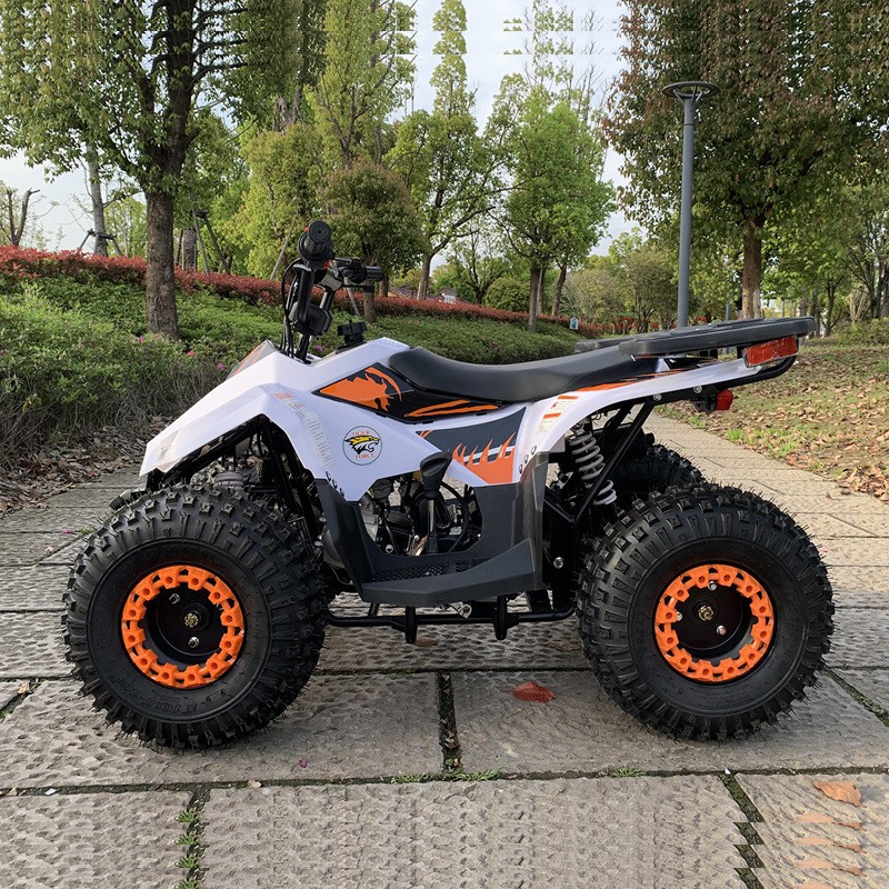 125CC ATV, Small Falcon All-Te - đánh giá và giá Outdoor Adventure Quad Biking