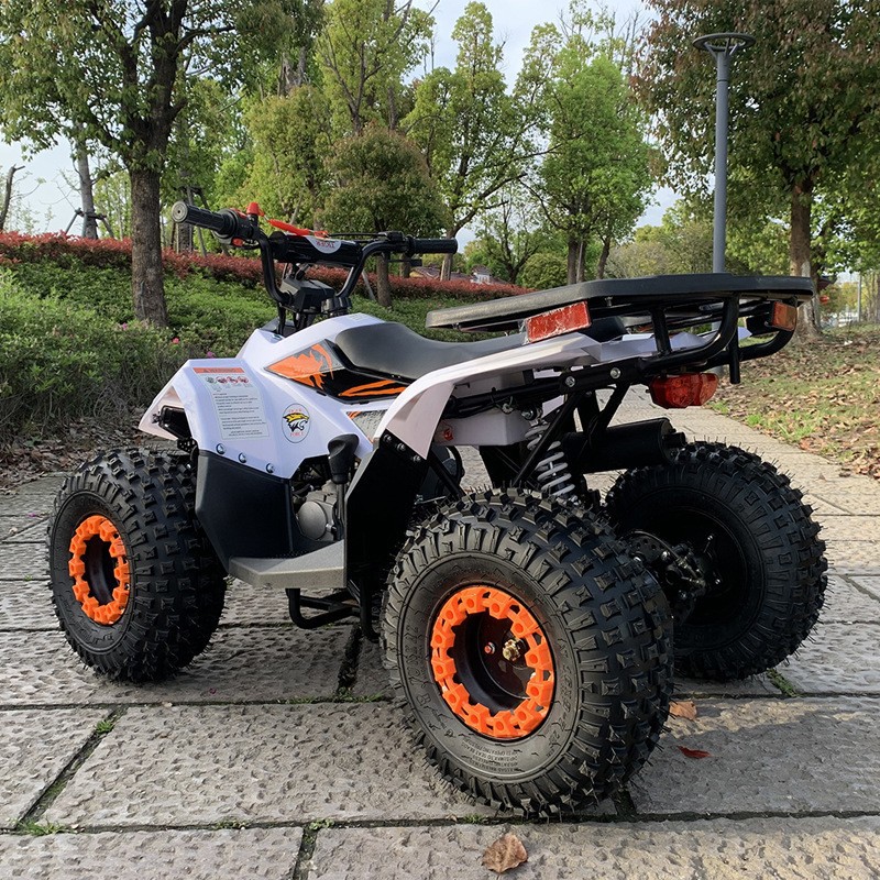 125CC ATV, Small Falcon All-Te - đánh giá và giá Outdoor Adventure Quad Biking
