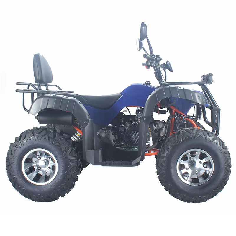 Racing Adult Dune Buggy Custom - đánh giá và giá Outdoor Adventure Quad Biking