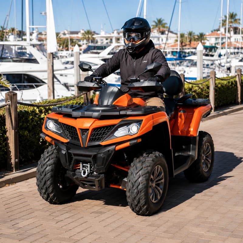 Adult Outdoor Buggy Customized - đánh giá và giá Outdoor Adventure Quad Biking