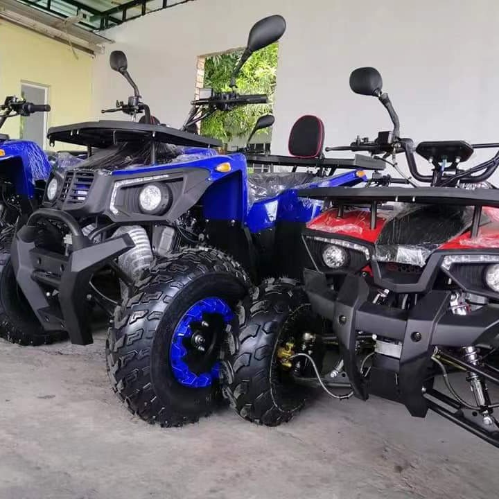 All Terrain Sand Buggy 200CC G - đánh giá và giá Outdoor Adventure Quad Biking