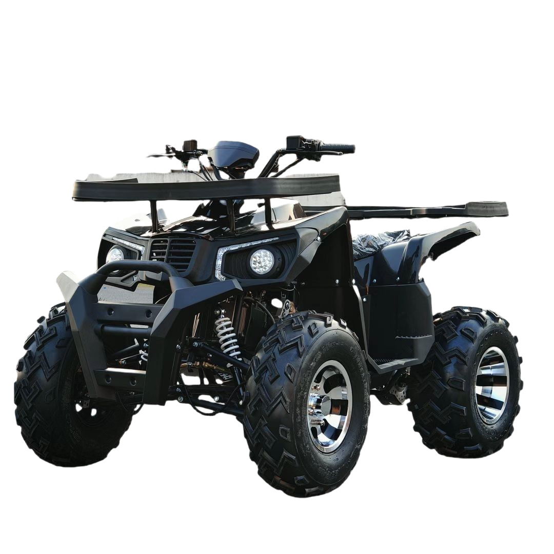 All Terrain Sand Buggy 200CC G - đánh giá và giá Outdoor Adventure Quad Biking
