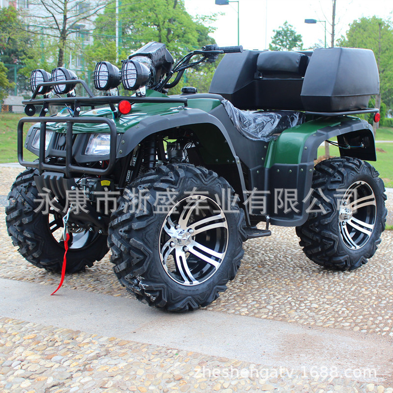 ATV 250cc, 4-Wheel All-Terrain - đánh giá và giá Outdoor Adventure Quad Biking