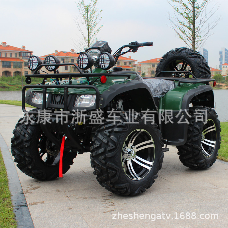 ATV 250cc, 4-Wheel All-Terrain - đánh giá và giá Outdoor Adventure Quad Biking