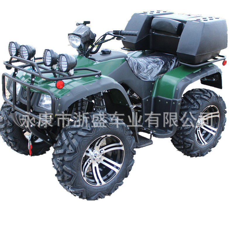 ATV 250cc, 4-Wheel All-Terrain - đánh giá và giá Outdoor Adventure Quad Biking